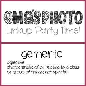 ge•ner•ic Linkup Party #27